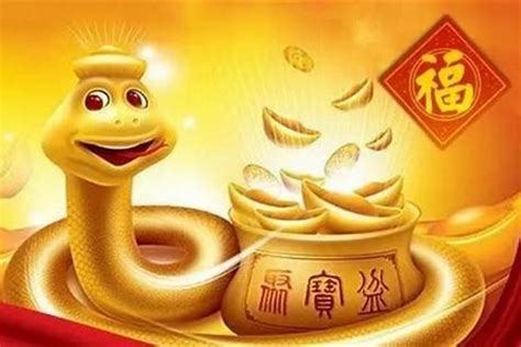 金蛇年|金蛇年是哪些年份